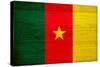 Cameroon Flag Design with Wood Patterning - Flags of the World Series-Philippe Hugonnard-Stretched Canvas