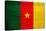 Cameroon Flag Design with Wood Patterning - Flags of the World Series-Philippe Hugonnard-Stretched Canvas