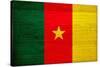 Cameroon Flag Design with Wood Patterning - Flags of the World Series-Philippe Hugonnard-Stretched Canvas