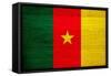 Cameroon Flag Design with Wood Patterning - Flags of the World Series-Philippe Hugonnard-Framed Stretched Canvas