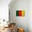 Cameroon Flag Design with Wood Patterning - Flags of the World Series-Philippe Hugonnard-Stretched Canvas displayed on a wall