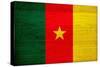 Cameroon Flag Design with Wood Patterning - Flags of the World Series-Philippe Hugonnard-Stretched Canvas