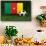 Cameroon Soccer-badboo-Framed Stretched Canvas displayed on a wall