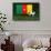 Cameroon Soccer-badboo-Framed Stretched Canvas displayed on a wall