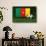 Cameroon Soccer-badboo-Framed Stretched Canvas displayed on a wall