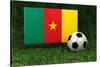 Cameroon Soccer-badboo-Stretched Canvas