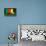 Cameroon Soccer-badboo-Stretched Canvas displayed on a wall