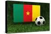 Cameroon Soccer-badboo-Stretched Canvas