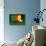 Cameroon Soccer-badboo-Art Print displayed on a wall