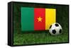 Cameroon Soccer-badboo-Framed Stretched Canvas
