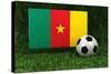 Cameroon Soccer-badboo-Stretched Canvas