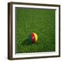 Cameroonian Soccerball Lying on Grass-zentilia-Framed Art Print