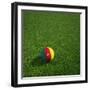 Cameroonian Soccerball Lying on Grass-zentilia-Framed Art Print