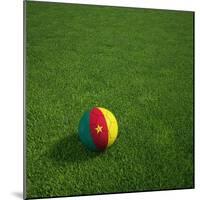 Cameroonian Soccerball Lying on Grass-zentilia-Mounted Art Print