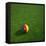 Cameroonian Soccerball Lying on Grass-zentilia-Framed Stretched Canvas