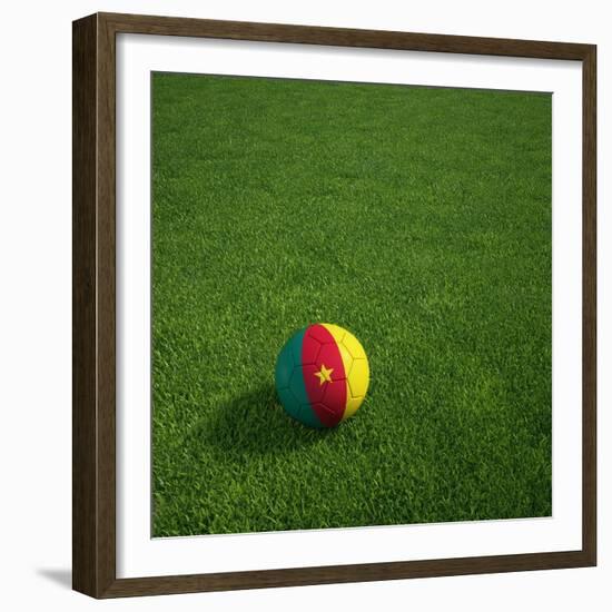 Cameroonian Soccerball Lying on Grass-zentilia-Framed Premium Giclee Print