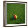 Cameroonian Soccerball Lying on Grass-zentilia-Framed Premium Giclee Print