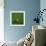 Cameroonian Soccerball Lying on Grass-zentilia-Framed Premium Giclee Print displayed on a wall