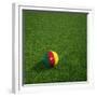 Cameroonian Soccerball Lying on Grass-zentilia-Framed Premium Giclee Print