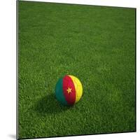 Cameroonian Soccerball Lying on Grass-zentilia-Mounted Premium Giclee Print