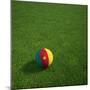 Cameroonian Soccerball Lying on Grass-zentilia-Mounted Premium Giclee Print