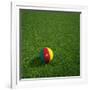 Cameroonian Soccerball Lying on Grass-zentilia-Framed Art Print