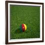 Cameroonian Soccerball Lying on Grass-zentilia-Framed Art Print