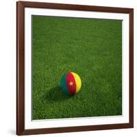 Cameroonian Soccerball Lying on Grass-zentilia-Framed Art Print