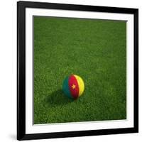 Cameroonian Soccerball Lying on Grass-zentilia-Framed Art Print