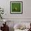 Cameroonian Soccerball Lying on Grass-zentilia-Framed Art Print displayed on a wall