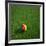 Cameroonian Soccerball Lying on Grass-zentilia-Framed Art Print