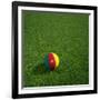 Cameroonian Soccerball Lying on Grass-zentilia-Framed Art Print