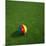 Cameroonian Soccerball Lying on Grass-zentilia-Mounted Art Print