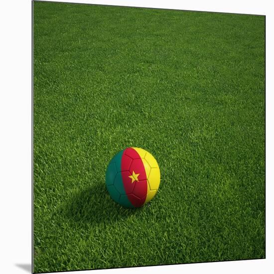 Cameroonian Soccerball Lying on Grass-zentilia-Mounted Art Print