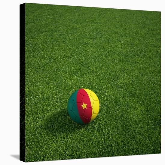 Cameroonian Soccerball Lying on Grass-zentilia-Stretched Canvas