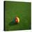 Cameroonian Soccerball Lying on Grass-zentilia-Stretched Canvas