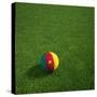 Cameroonian Soccerball Lying on Grass-zentilia-Stretched Canvas