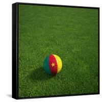 Cameroonian Soccerball Lying on Grass-zentilia-Framed Stretched Canvas