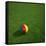 Cameroonian Soccerball Lying on Grass-zentilia-Framed Stretched Canvas