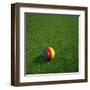 Cameroonian Soccerball Lying on Grass-zentilia-Framed Art Print