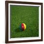 Cameroonian Soccerball Lying on Grass-zentilia-Framed Art Print