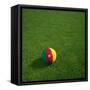 Cameroonian Soccerball Lying on Grass-zentilia-Framed Stretched Canvas