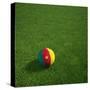 Cameroonian Soccerball Lying on Grass-zentilia-Stretched Canvas