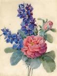 Flowers, Roses and Larkspur-Camile de Chanteraine-Framed Giclee Print