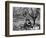 Camille, 1921-null-Framed Photographic Print