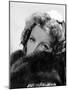 Camille by George Cukor, based on a novel by Alexandre Dumas son, with Greta Garbo, 1937 (b/w photo-null-Mounted Photo
