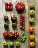 Tomato Pyramid-Camille & Gaillard-Art Print