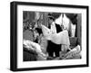 Camille, Greta Garbo, Robert Taylor, 1936-null-Framed Photo