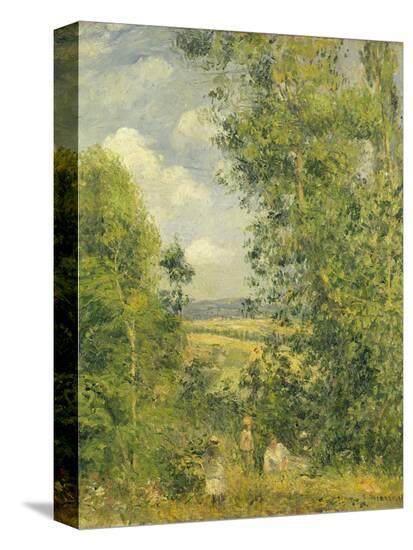 Stretched Canvas Print, , large
