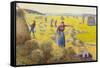 Camille Pissarro La Recolte des Foins Eragny Art Print Poster-null-Framed Stretched Canvas